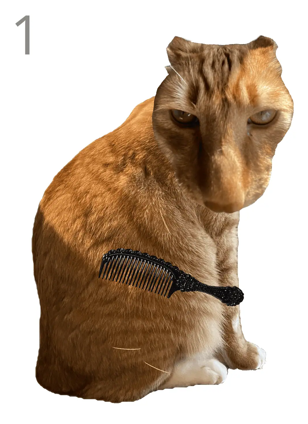 Brush Jjaemu Gameplay